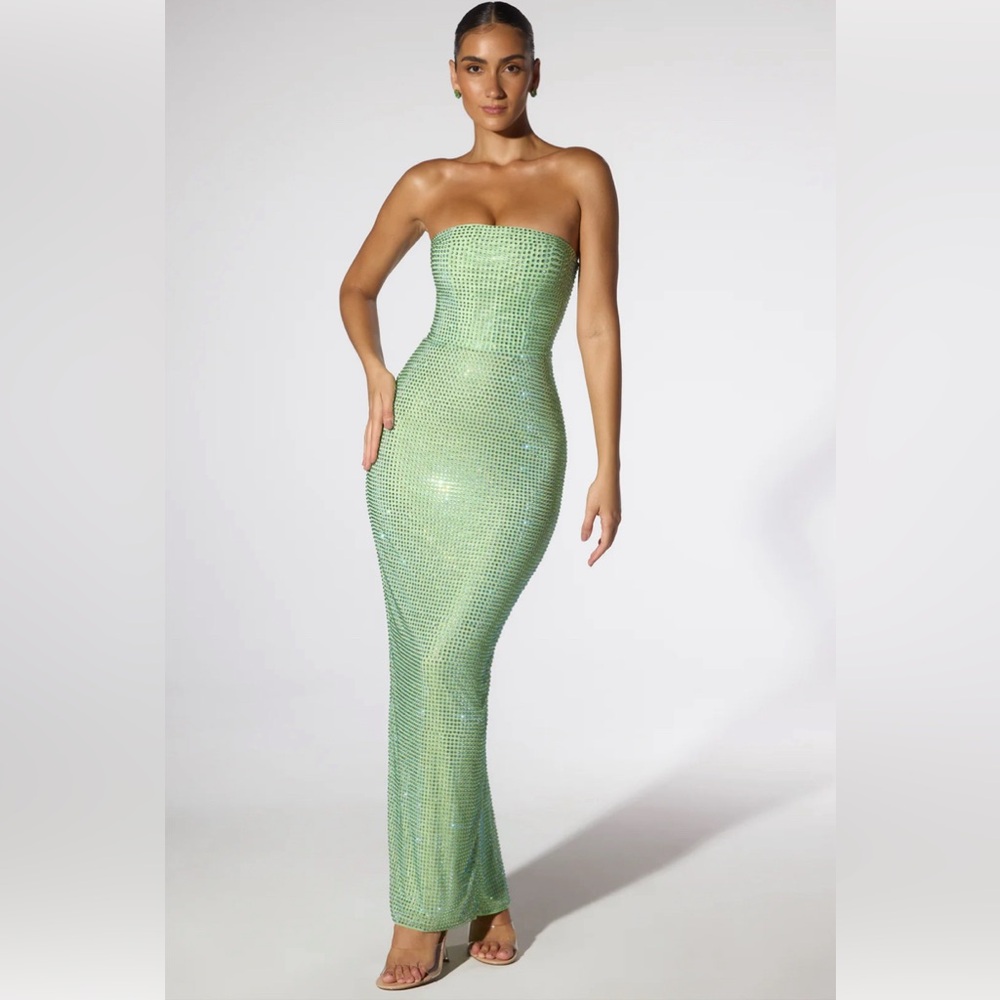 Sage Green Embellished Gown